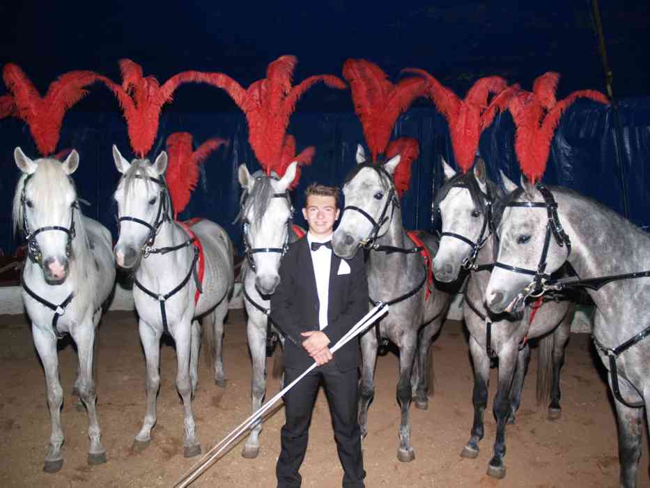 Pferde mit Bernhard James Spindler